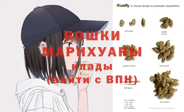 индика Зерноград