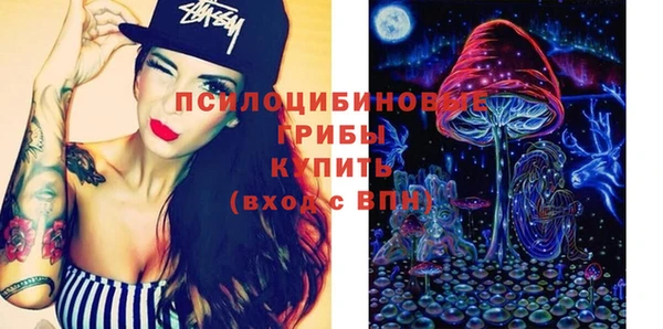 бошки Заводоуковск