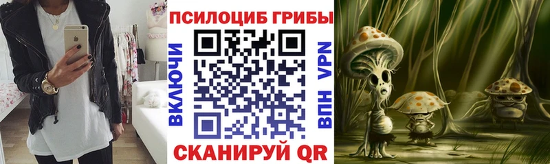 Псилоцибиновые грибы Magic Shrooms  Купить  Райчихинск 