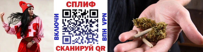 Купить где  Райчихинск  Каннабис гибрид 
